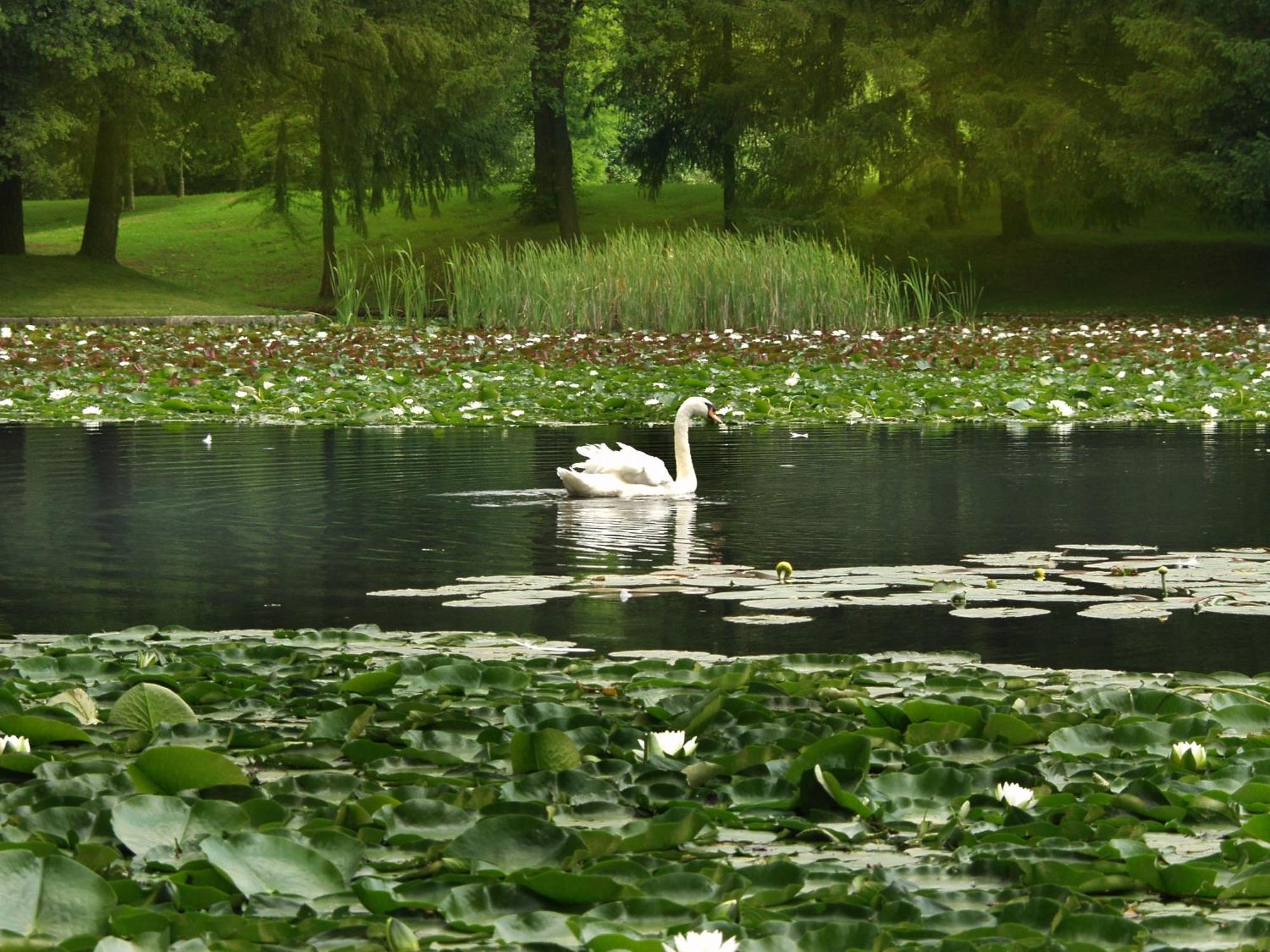 Elegans Hotel Brdo Kranj Bagian luar foto