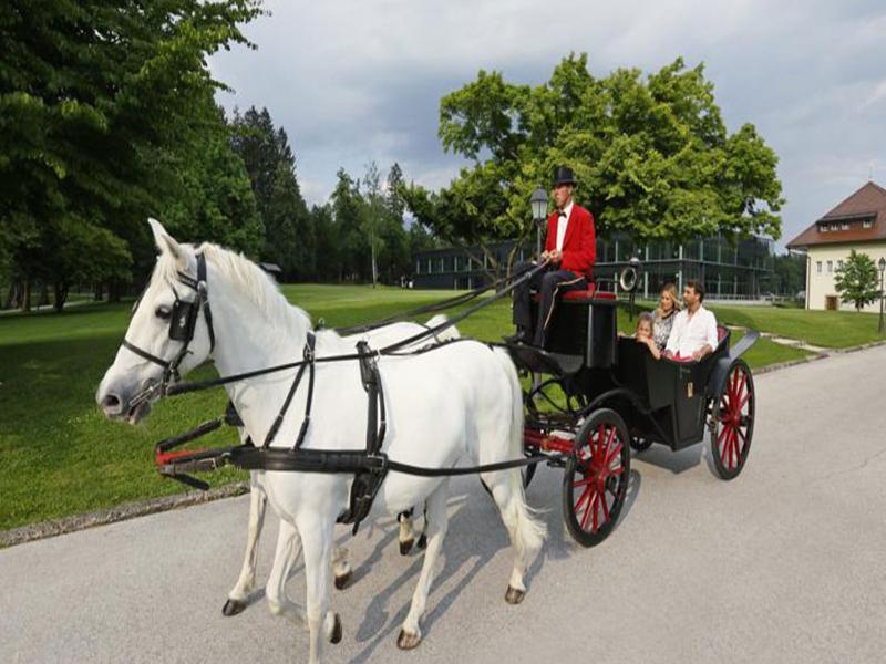 Elegans Hotel Brdo Kranj Bagian luar foto