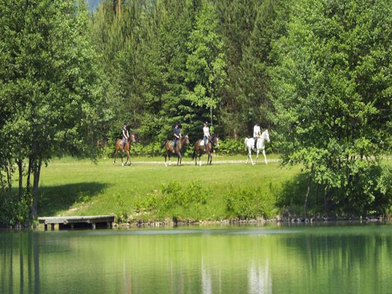 Elegans Hotel Brdo Kranj Bagian luar foto